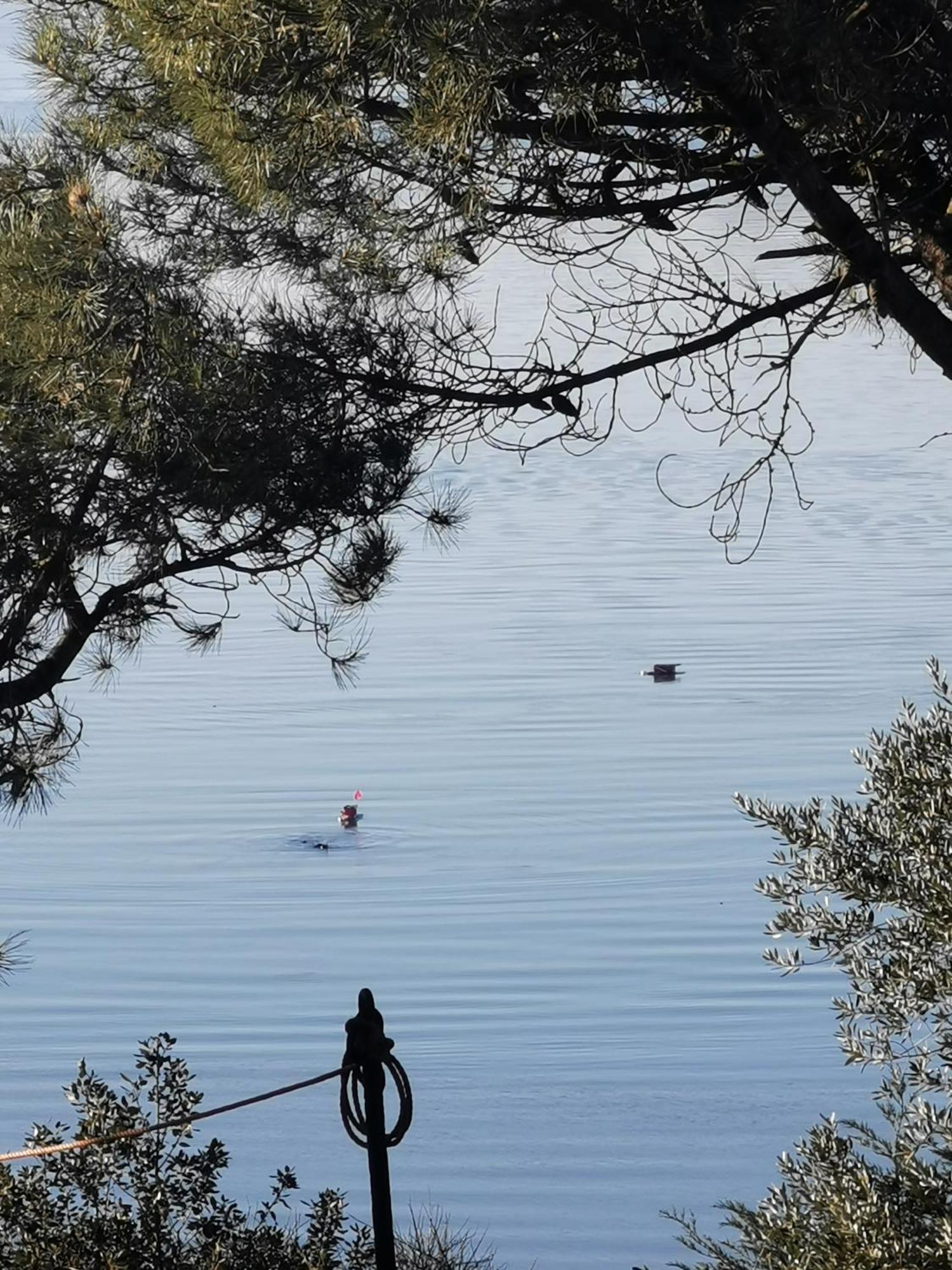 Les Pieds Dans L'Eau Apartman Saint-Malo Kültér fotó